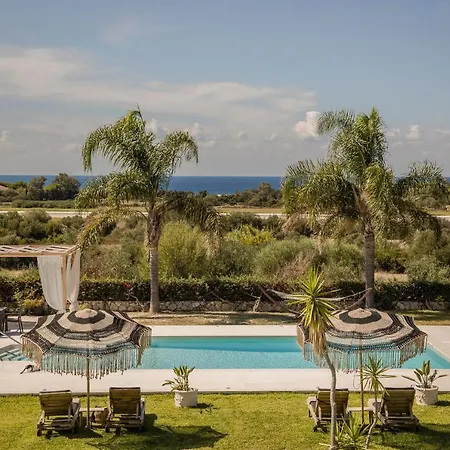 Queen Bee Daire Minia