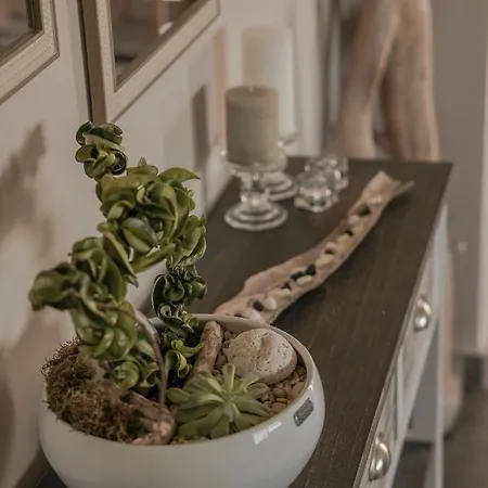 Appartement Queen Bee